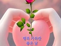 편안한 주말 보내세요