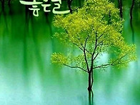 행복한 하루 보내세요