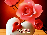 활기찬 한주 보내세요