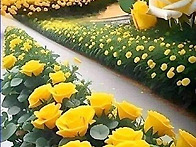 행복한 하루 보내세요
