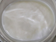 우리 티동이들이 다시 아프..