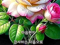 행복한 하루 보내세요