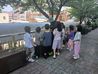 6월11일 금곡초