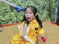 8월 27일 옥수수알ㅡ장다겸..