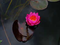 신구대 식물원에서