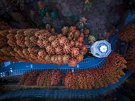 장태산 자연휴양림