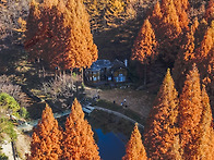 온빛자연휴양림