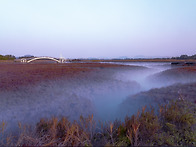 미생의다리 장노출