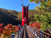 칠갑산 만원의행복