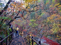 지리산 성중종주 ..