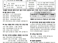연중 17주일
