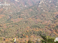 22,10/30 삼성산에서
