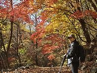 10/17(토)정선 항골 숨바..