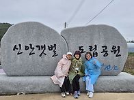 신안 퍼플섬1