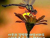 편안한 주말 보내세요