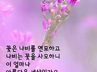 활기찬 한주 보내세요
