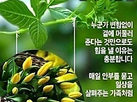 행복한 하루 보내세요
