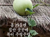 활기찬 한주 보내세요