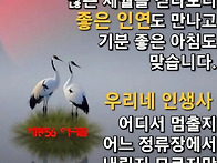 편안한 주말 보내세요