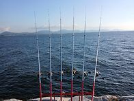 모처럼만에 12대편성