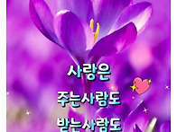 행복한 불금보내세여