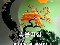 행복한 하루 보내세요