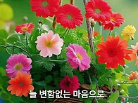 행복한 하루 보내세요