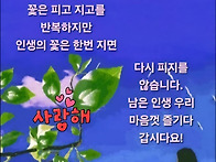 행복한 하루 보내세요