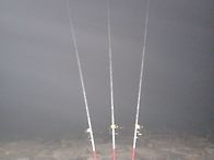 26년 첫출조 신고식