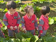 고구마밭에 다녀왔어요&#..