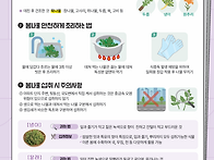 4월 영양교육 - 봄철 입맛..