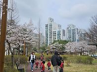 봄꽃 구경 다녀왔어요^^