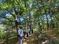동춘당에 산책 다녀왔어요..