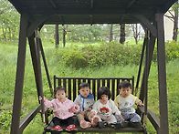 숲 체험-싱그러운 초록 거..