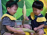 오감토리-옥수수 수염..