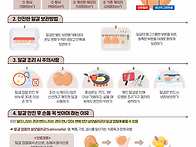 11월 영양,위생교육 - 안..