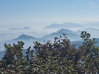 충주 천등산 인등..