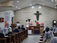 26.03.29 주님 수난 성지..