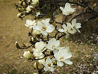 26.03.29 성당주..