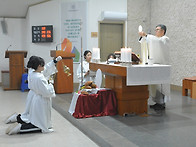 26.04.02 성주간 목요일 ..