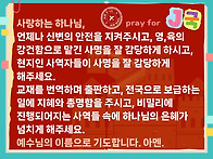 4주 붉은색장