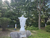 예수성심상을 우리본당에도..
