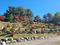 2025년 위령의 날 성모자애..