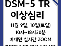 한국종합심리 DSM-5 TR..