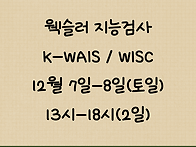 K-WAIS-IV 워크..