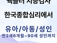 웩슬러 지능검사 ..