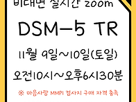 2024년 11월 DSM-5 T..