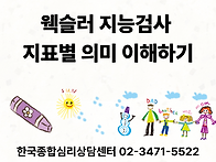 웩슬러 지능검사 ..