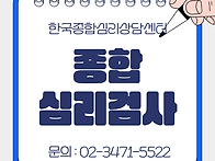 서울 종합심리검사 / 풀배..
