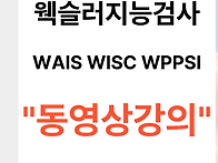웩슬러지능검사 WAIS WI..